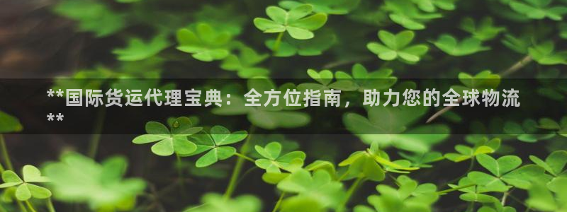 尊龙集团：**国际货运代理宝典：全方位指南，助力您的全球