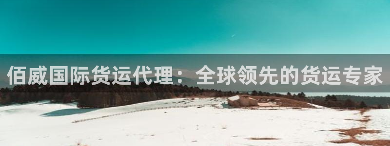 尊龙凯时代理官网入口：佰威国际货运代理：全球领先的货运专