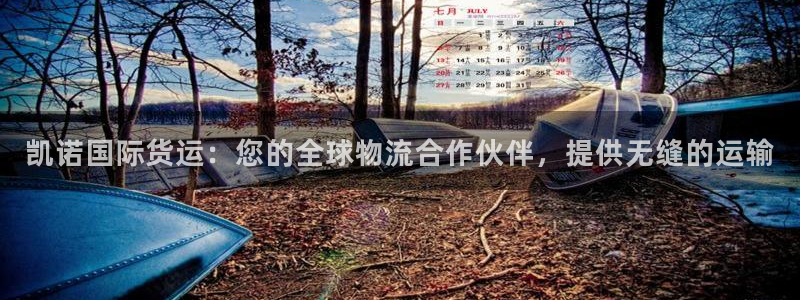 尊龙凯时几百万怎么下：凯诺国际货运：您的全球物流合作伙伴