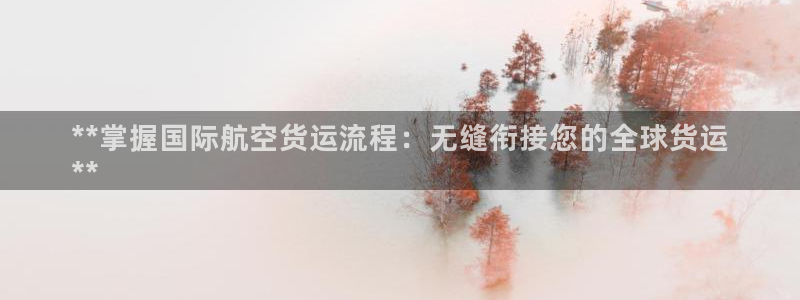 尊龙凯时官网：**掌握国际航空货运流程：无缝衔接您的全球
