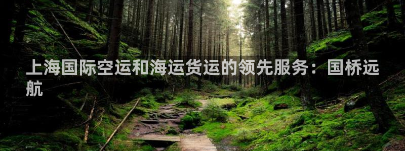 尊龙500价格：上海国际空运和海运货运的领先服务：国桥远