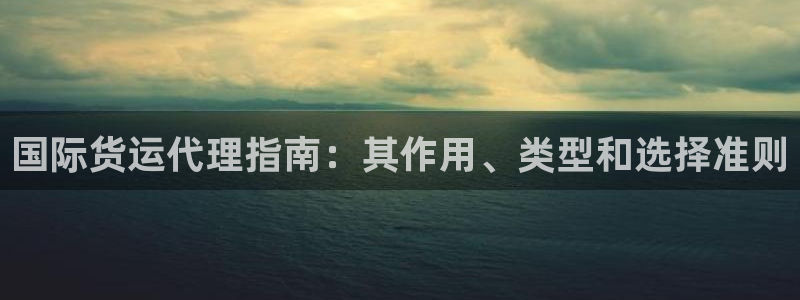 尊龙官网网页版：国际货运代理指南：其作用、类型和选择准则