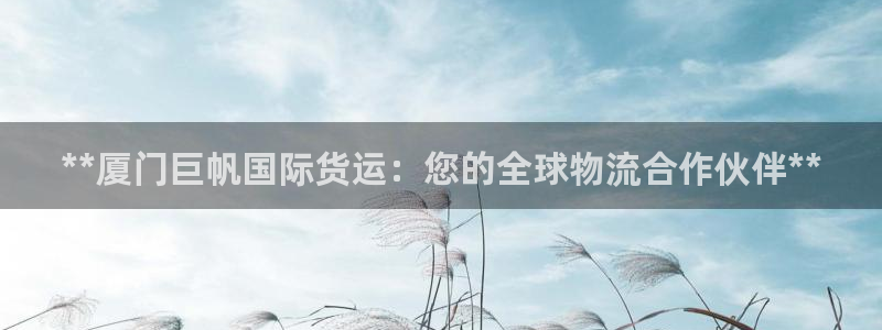 尊龙500价格：**厦门巨帆国际货运：您的全球物流合作伙
