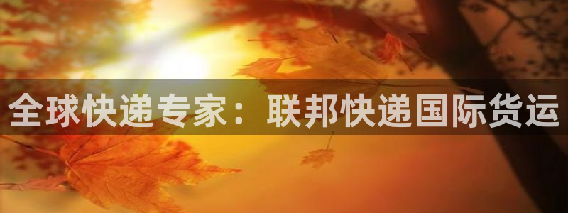 尊龙实业 吴友良：全球快递专家：联邦快递国际货运