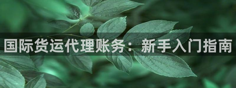 尊龙凯时 人生就是搏!：国际货运代理账务：新手入门指南