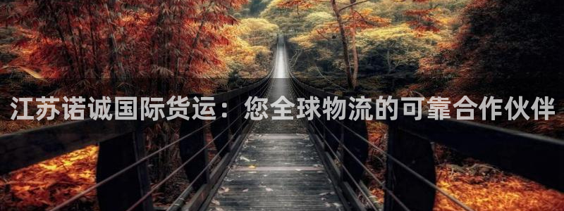 尊龙网站登录：江苏诺诚国际货运：您全球物流的可靠合作伙伴