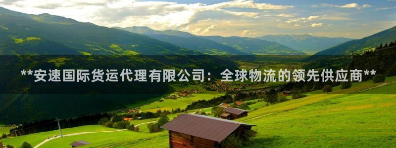 z6com尊龙凯时：**安速国际货运代理有限公司：全球物