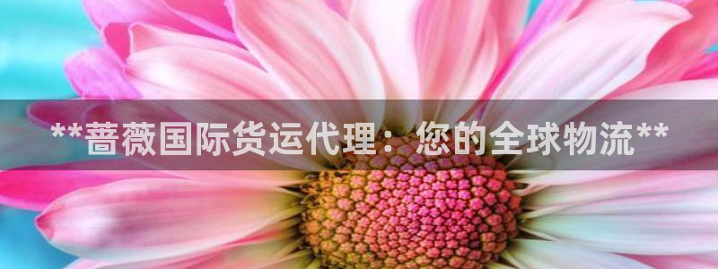 z6尊龙官网：**蔷薇国际货运代理：您的全球物流**