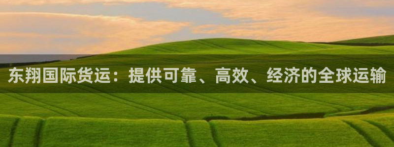 尊龙凯时游戏厅：东翔国际货运：提供可靠、高效、经济的全球