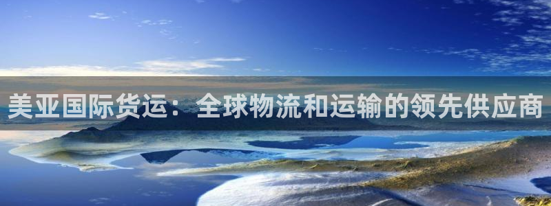 尊龙凯时电竞：美亚国际货运：全球物流和运输的领先供应商
