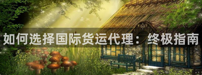 尊龙凯时下载官方正版：如何选择国际货运代理：终极指南