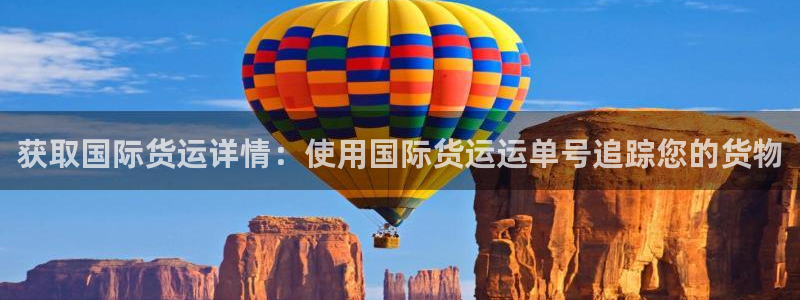 尊龙新版手机app下载：获取国际货运详情：使用国际货运运