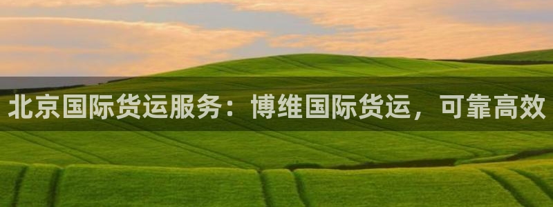 尊龙凯时登陆入口：北京国际货运服务：博维国际货运，可靠高