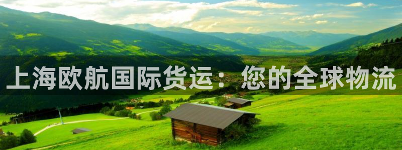 尊龙凯时人生就是搏包装优势：上海欧航国际货运：您的全球物