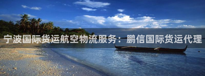 Z6尊龙凯时官方：宁波国际货运航空物流服务：鹏信国际货运