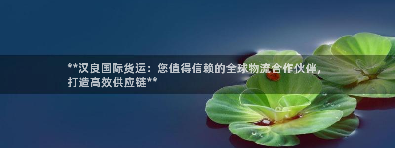 z6com尊龙：**汉良国际货运：您值得信赖的全球物流合