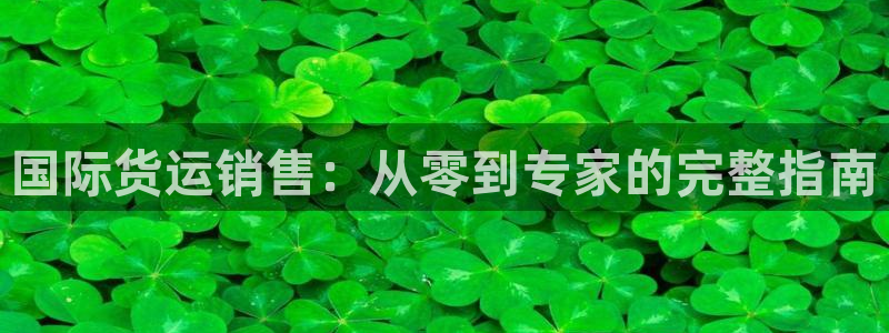 尊龙最近一次露面：国际货运销售：从零到专家的完整指南