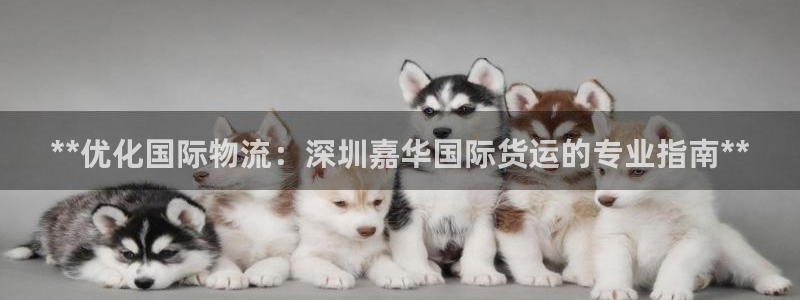 尊龙凯时登入首页：**优化国际物流：深圳嘉华国际货运的专
