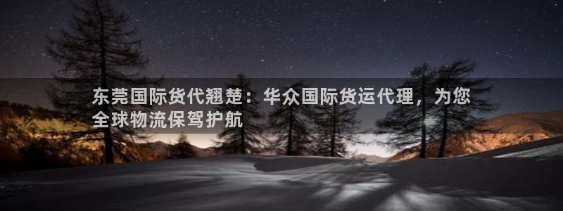 尊龙人生就是博官：东莞国际货代翘楚：华众国际货运代理，为
