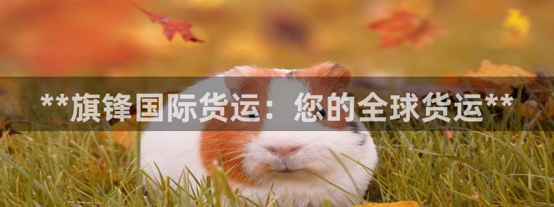 尊龙凯时产品系列：**旗锋国际货运：您的全球货运**