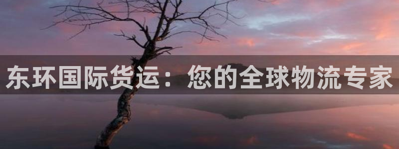 尊龙d88平台版下载：东环国际货运：您的全球物流专家