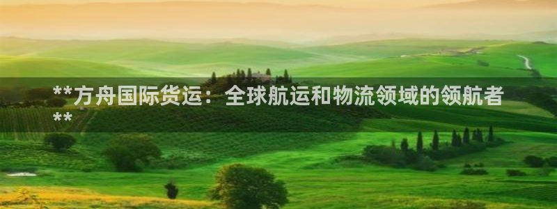 尊龙人生就是博l：**方舟国际货运：全球航运和物流领域的