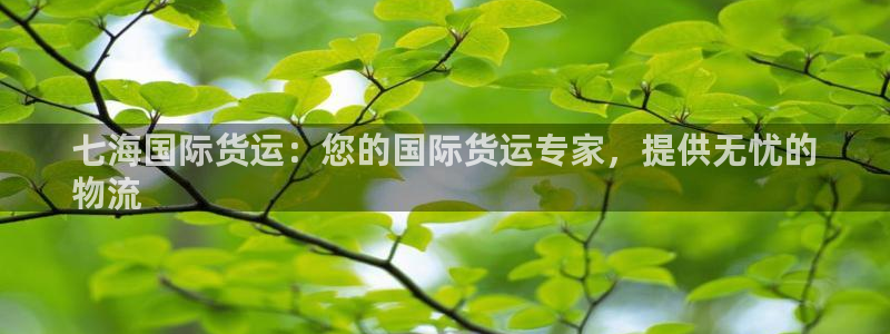 尊龙凯时一人生就是博登入：七海国际货运：您的国际货运专家