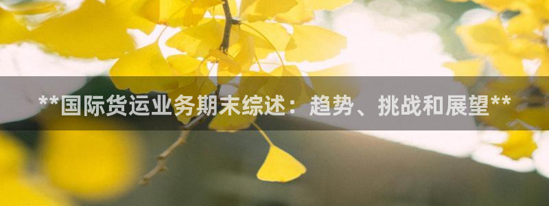 尊龙集团有限公司官网地址：**国际货运业务期末综述：趋势