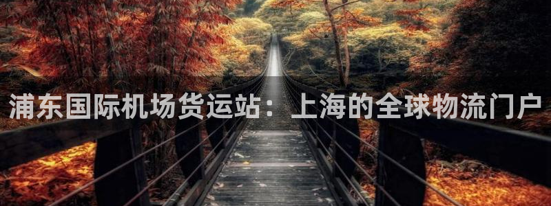 尊龙人生就是博一下下：浦东国际机场货运站：上海的全球物流