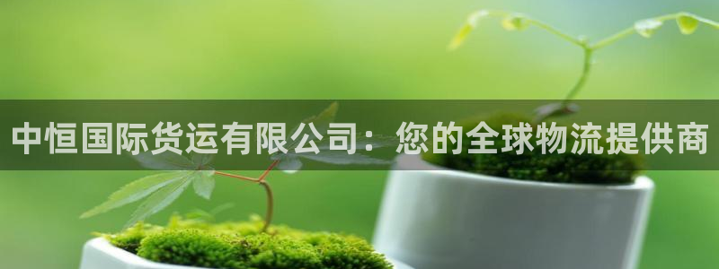尊龙 中国：中恒国际货运有限公司：您的全球物流提供商