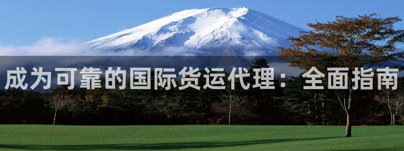 尊龙个人资料简介：成为可靠的国际货运代理：全面指南