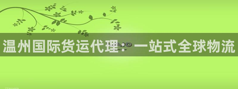 尊龙凯时官方网站下载：温州国际货运代理：一站式全球物流