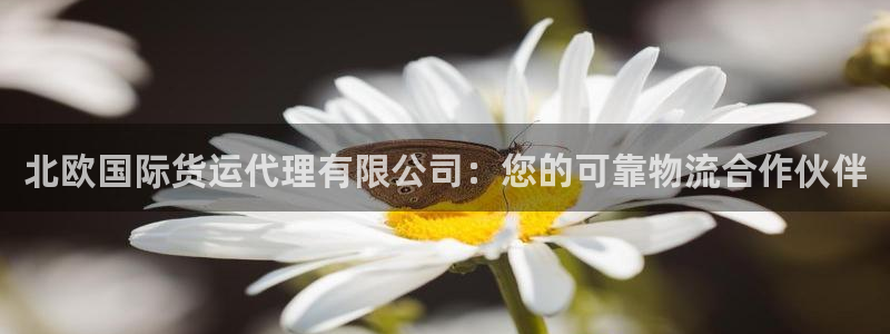 尊龙凯时人生就是博官网登录：北欧国际货运代理有限公司：您