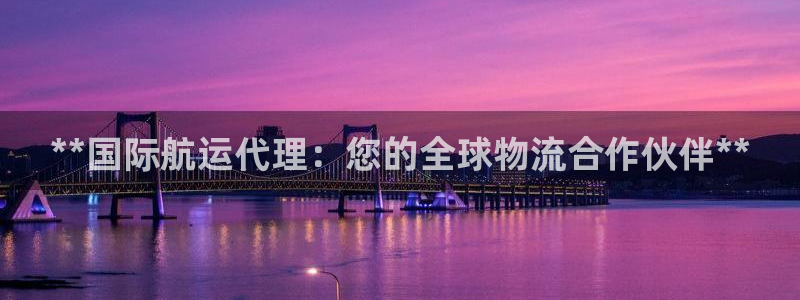 尊龙公司：**国际航运代理：您的全球物流合作伙伴**