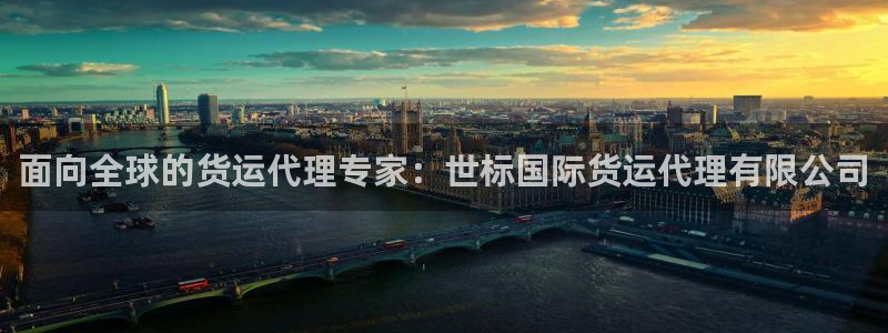 尊龙d88官网可靠送38元：面向全球的货运代理专家：世标