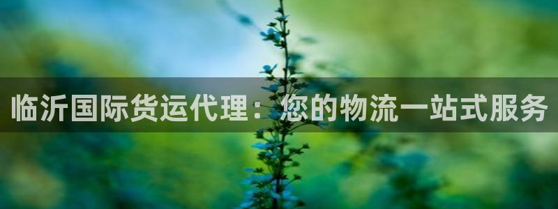 尊龙凯时有没有出不了款的情况：临沂国际货运代理：您的物流