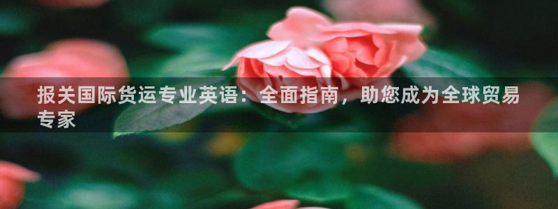 尊龙凯时只输不赢：报关国际货运专业英语：全面指南，助您成