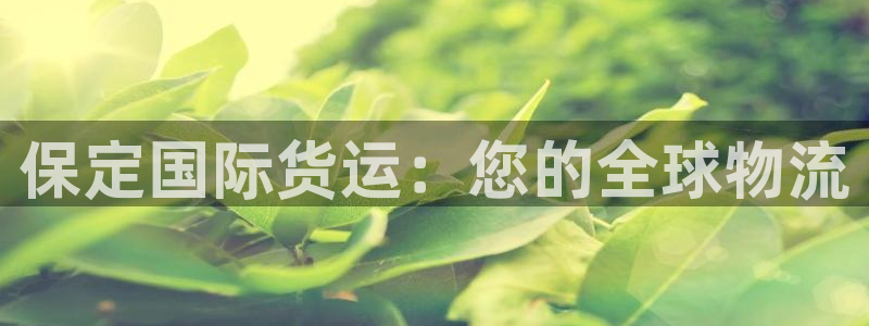 尊龙凯时有限公司：保定国际货运：您的全球物流