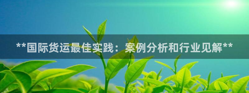 尊龙平台有谁玩过：**国际货运最佳实践：案例分析和行业见