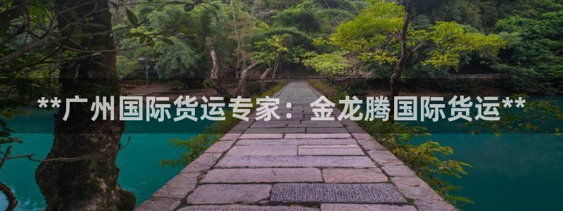 尊龙凯时vip：**广州国际货运专家：金龙腾国际货运**