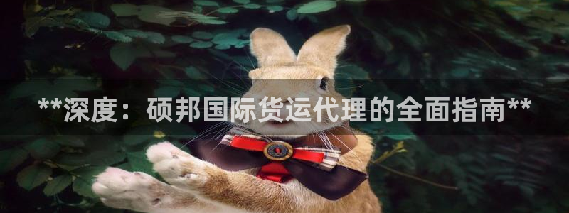 z6尊龙官网平台下载：**深度：硕邦国际货运代理的全面指