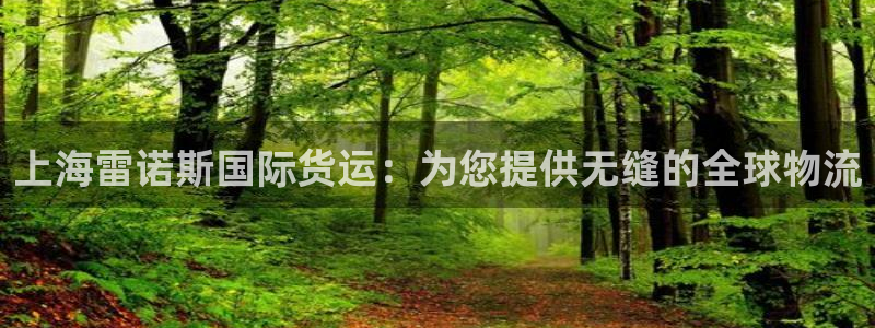尊龙z6网址：上海雷诺斯国际货运：为您提供无缝的全球物流