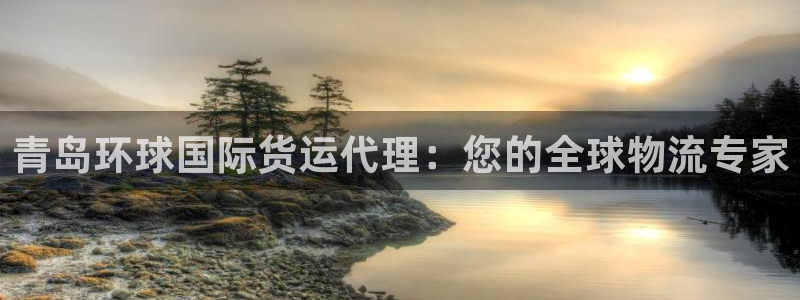 尊龙网页：青岛环球国际货运代理：您的全球物流专家