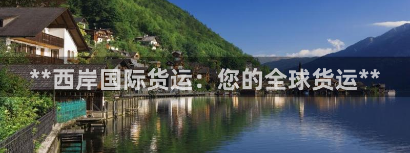尊龙app怎么样：**西岸国际货运：您的全球货运**