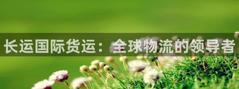 尊龙现金d88：长运国际货运：全球物流的领导者