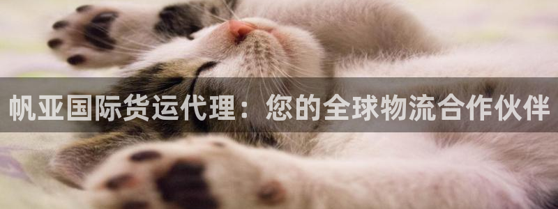 尊龙凯时logo：帆亚国际货运代理：您的全球物流合作伙伴