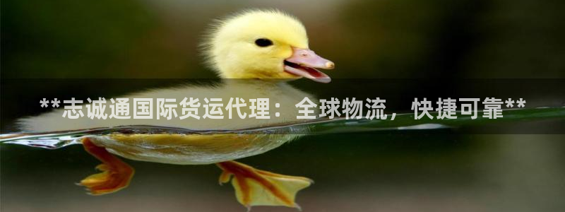 尊龙凯时是大平台吗：**志诚通国际货运代理：全球物流，快