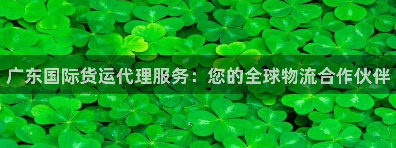 尊龙怎么没消息了：广东国际货运代理服务：您的全球物流合作