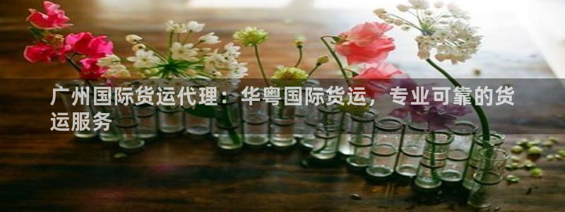 尊龙凯时游戏厅：广州国际货运代理：华粤国际货运，专业可靠