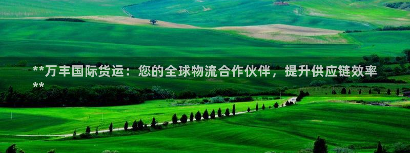 尊龙凯时家居是品牌吗：**万丰国际货运：您的全球物流合作